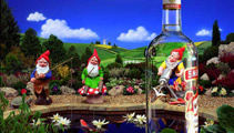 Gnomes